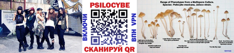 Псилоцибиновые грибы мухоморы Купить Волжский